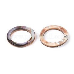 天然パウア貝のリンキングリング  フラットリング形状  カラフル  22.5~23x2~3.5mm  内径：16.5~17mm&nbsp;SSHEL-N041-01B