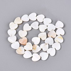 天然淡水シェルビーズ連売り  ハート  貝殻色  12.5x13x3mm  穴：1mm  約30個/連  13.78インチ（35cm）&nbsp;SHEL-S276-87