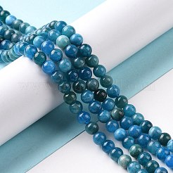 天然石アパタイトビーズ連売り  ラウンド  5.5mm  穴：1mm  約74個/連  15.5インチ（39.5cm）&nbsp;G-J373-21-5.5mm-01