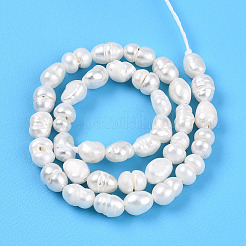 天然養殖淡水パールビーズ連売り  ライス  乳白色  4~6x3~4mm  穴：0.5mm  約35~36個/連  6.69~6.89''（17~17.5センチメートル）&nbsp;LS-PEAR-N012-02N-01