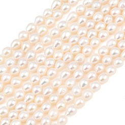 天然養殖淡水パールビーズ連売り  ラウンド  グレード4 A  ベージュ  4.5~5mm  穴：0.6mm  約70個/連  15.16''（38.5センチメートル）&nbsp;PEAR-D003-01A