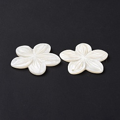 天然淡水シェルのペンダント  花のチャーム  貝殻色  35.5~36.5x37~38x2.5~3mm  穴：1.5mm&nbsp;SSHEL-C011-04
