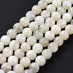 天然ホワイトムーンストーンビーズ連売り  ラウンド  8mm  穴：1mm  約47個/連  15.55インチ（39.5cm）&nbsp;G-F674-08-8mm-01