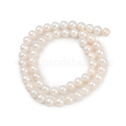 天然養殖淡水パールビーズ連売り  ポテト  貝殻色  7~8mm  穴：0.7mm  約54~55個/連  14.09~14.37インチ（35.8~36.5cm）&nbsp;PEAR-I007-07X-04A