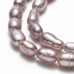 天然養殖淡水パールビーズ連売り  ライス  アザミ  4.5~6.5x2.5~3.3mm  穴：0.5mm  約74~83個/連  14.37''~14.56