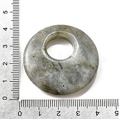 天然石ラブラドライトペンダント  フラットラウンド  40~41x8~9mm  穴：12~15mm&nbsp;G-F708-05J