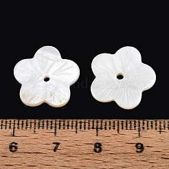 天然淡水シェルビーズ  花  貝殻色  16x2mm  穴：1.4~1.6mm&nbsp;SHEL-N038-12