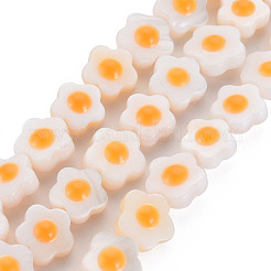 エナメルを使用した天然淡水シェルビーズ連売り  花  オレンジ  8~9x8~9x4.5mm  穴：1mm  約48~50個/連  15.16インチ〜15.55インチ（38.5cm〜39.5cm）&nbsp;SHEL-T018-30
