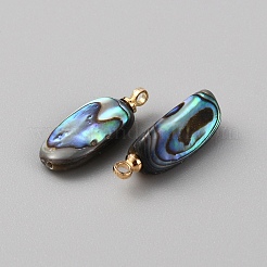 天然アワビシェル/パウアシェルペンダント  ライトゴールドトーンの金属パーツ付き  ナゲットチャーム  19.5x7x8mm  穴：1.6mm&nbsp;SSHEL-WH0001-43