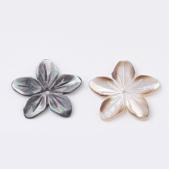 天然な黒リップシェルビーズ  花  18~20x18~21x2mm  穴：1mm&nbsp;SHEL-S269-70