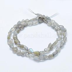 天然石ラブラドライトビーズ連売り  タンブルストーン  ナゲット  5x4mm  穴：1mm  15.7インチ〜15.9インチ（40~40.5cm）&nbsp;G-K203-12