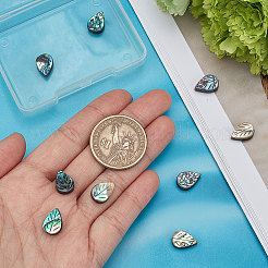 天然アワビシェル/パウアシェルビーズ  葉  カラフル  12.5x8.5x3.5mm  穴：1mm  10個/箱&nbsp;SHEL-BBC0001-01