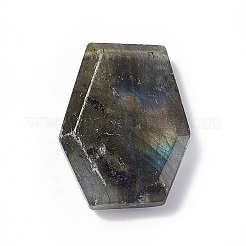天然石ラブラドライトペンダント  ポリゴンのチャーム  21~26x16~19x6mm  穴：1mm&nbsp;G-C002-01F