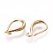 Brass Earring Hooks, with Horizontal Loop, Golden, 15x9.5x2.5mm, Hole: 1.6mm, 20 Gauge, Pin: 0.8mm