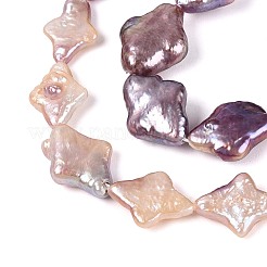 天然バロックケシパールビーズ連売り  有核真珠  スター  アザミ  13~16.5x9.5~13x4~7mm  穴：0.6mm  約13個/連  7.68~7.87インチ（19.5~20cm）&nbsp;PEAR-S022-01B