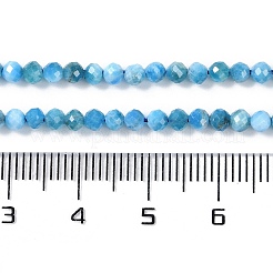 天然石アパタイトビーズ連売り  多面カット  ラウンド  3x2.5mm  穴：0.6mm  約151~153個/連  15.35''（39センチメートル）&nbsp;X-G-P542-A06-02