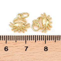 真鍮製チャーム  丸カン付き  海洋のテーマ  18KGP本金メッキ  カニ  10.5x11x3mm  穴：3.5mm&nbsp;KK-G549-17C-G
