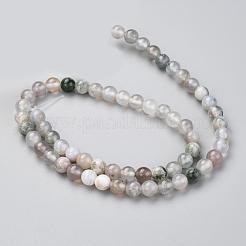 天然石ツリーアゲート瑪瑙ビーズ連売り  ラウンド  6mm  穴：1mm  約59~62個/連  14.76インチ（37.5cm）&nbsp;G-I199-03-6mm