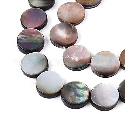 天然石シーシェルビーズ連売り  フラットラウンド  キャメル  12.5x2.5mm  穴：1.2mm  約30個/連  14.65''（37.2センチメートル）&nbsp;SSHEL-D084-13A