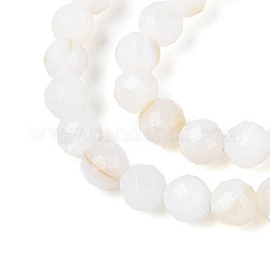 天然淡水シェルビーズ連売り  ラウンド  多面カット  乳白色  3.5~4.5mm  穴：0.6mm  約96~100個/連  14.57~14.96インチ（37~38cm）&nbsp;SHEL-N038-32