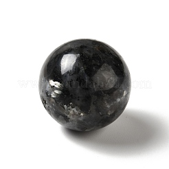 天然ラルビカイトビーズ  穴なし/ドリルなし  ラウンド  25~25.5mm&nbsp;G-A206-02-05