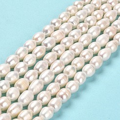 天然養殖淡水パールビーズ連売り  ライス  グレードAA  ライム  8~11x7~7.5mm  穴：0.7mm  約35~36個/連  13.39''（34センチメートル）&nbsp;PEAR-E016-190