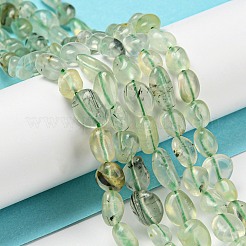 天然石プレナイトビーズ連売り  ナゲット  タンブルストーン  3~11x4~8x3~6mm  穴：0.9mm  約56個/連  15.94''~15.75''（40~40.5センチメートル）&nbsp;G-P497-01A-09