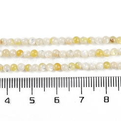 天然ニシキウズガイシェルビーズ連売り  ラウンド  ライトゴールデンロッドイエロー  3mm  穴：0.5mm  約129~130個/連  14.57~14.69''（37~37.3センチメートル）&nbsp;BSHE-H109-12A