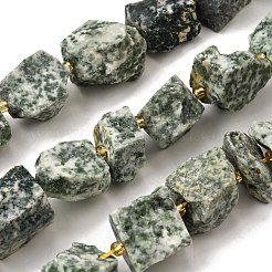 天然のグリーンスポットジャスパーの原石ビーズ連売り  ナゲット  シードビーズで  14~28x15~25x10~27mm  穴：1.2~1.4mm  約9~10個/連  7.76''~8.07''（19.7~20.5センチメートル）&nbsp;G-Z087-B16
