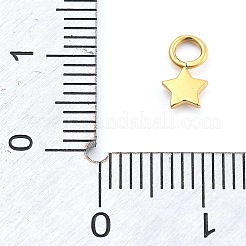 イオンプレーティング（IP）304ステンレススチールチャーム  スター  14KGP本金メッキ  8.5x4.5x1.5mm  穴：2.5mm&nbsp;STAS-P379-06B-G
