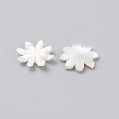 天然シェルビーズ  8  - 花びらの花  ホワイト  12x2mm  穴：0.8mm&nbsp;FIND-WH0431-23