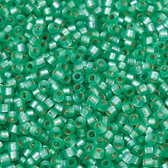 MIYUKIデリカビーズ  シリンダー  日本製シードビーズ  11/0  （db0691)染め半つや消しシルバー裏地ミントグリーン  1.3x1.6mm  穴：0.8mm  約2000PCS /ボトル  10 G /ボトル&nbsp;SEED-JP0008-DB0691