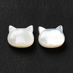 ナチュラルホワイトシェルビーズ  猫  ホワイト  6x7x3mm  穴：0.8mm&nbsp;SHEL-G014-10B-01