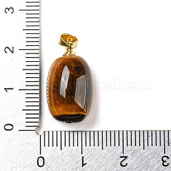 天然石タイガーアイペンダント  金メッキ合金スナップオンベイル付きバレルチャーム  19.5x11mm  穴：4x4.3mm&nbsp;G-D094-05A-G