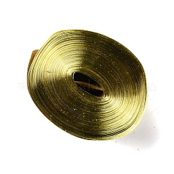 スパークルスタイルのベルベットリボン  きらめき力  クリスマスギフト包装用  フラット  ダークチソウ  2インチ（50mm）  約10.94ヤード（10m）/ロール&nbsp;SRIB-WH0011-020A