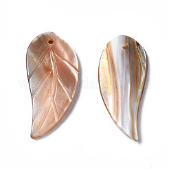 天然淡水シェルのペンダント  葉  21~22x9~10x1.5~2.5mm  穴：1mm&nbsp;SHEL-N026-146