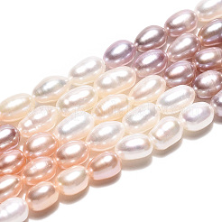 三色の天然養殖淡水真珠ビーズの連  ライス  ミックスカラー  4.5~8.5x3.5~4.5mm  穴：0.5mm  約58~71個/連  14.96~15.16インチ（38~38.5cm）&nbsp;PEAR-N012-04D-01