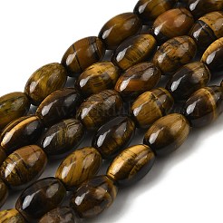 天然石タイガーアイビーズ連売り  ライス  グレードAB  12x8~8.5mm  穴：0.7mm  約31個/連  15.16''（38.5センチメートル）&nbsp;X-G-A275-A01-8x12mm