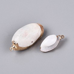 電気メッキ天然貝殻ペンダント  貝殻の形のチャーム  鉄製のループと真鍮製の金具付き  ライトゴールド  貝殻色  16~34x9~18x7~16mm  穴：1.2~1.8mm&nbsp;SSHEL-Q100-05KCG-01