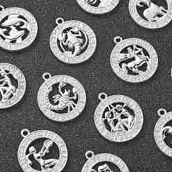 合金ペンダント  星座チャーム12個付きフラットラウンド  プラチナ  23x20x2mm  穴：1.4mm  12個/セット&nbsp;FIND-CJC0017-13P