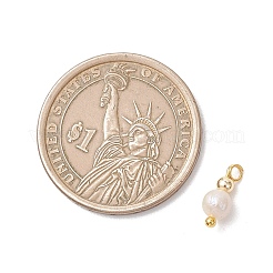 真鍮ビーズチャーム付き天然淡水真珠ポテト  貝殻色  ゴールドカラー  11.5x5.5mm  穴：1.6mm&nbsp;PALLOY-JF04946-01