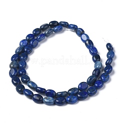 天然石ラピスラズリビーズ連売り  染め  オーバル  8x6x3.5~4mm  穴：1mm  約45~52個/連  15.16~15.74インチ（38.5~40cm）&nbsp;G-Z006-A26