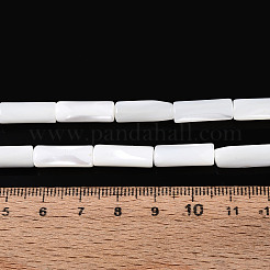 天然トロチッドシェル/トロカスシェルビーズ連売り  コラム  漂白  ホワイト  16~18.5x6mm  穴：0.9mm  約24個/連  15.28~15.67''（38.8~39.8センチメートル）&nbsp;BSHE-T014-06A
