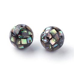 天然パウアシェルビーズ  ラウンド  ブラック  12~12.5mm  穴：1mm&nbsp;SSHEL-Q298-12mm-09