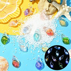 30 個の蓄光透明樹脂ペンダント  巻き貝  暗闇で光る  ミックスカラー  39x19.5x14.5mm  穴：1.6mm&nbsp;RESI-YW0004-64