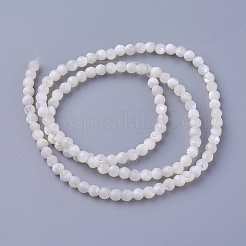 シェルビーズ連売り  多面カット  ラウンド  3~3.5mm  穴：0.8mm  約118個/連  15.31インチ（38.9cm）&nbsp;SSHEL-E571-38-3mm