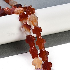 天然石赤瑪瑙ビーズ連売り  クロス  15x11.5x4.5mm  穴：0.7mm  約25個/連  15.75''（40センチメートル）&nbsp;G-I369-A20-02