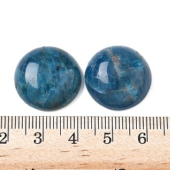 天然アパタイトカボション  半円/ドーム  20x7~8mm&nbsp;G-A265-01D