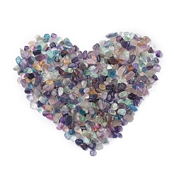 天然の蛍石ビーズ  穴なし/ドリルなし  ナゲット  タンブルストーン  花瓶フィラーの宝石  6~16x6~10x3~8mm&nbsp;X-G-F710-11
