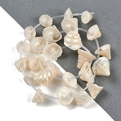 天然石シェルビーズ連売り  円錐  ホワイト  12~19x7.5~15mm  穴：0.1mm  約26個/連  16.73''（42.5センチメートル）&nbsp;SHEL-K009-11
